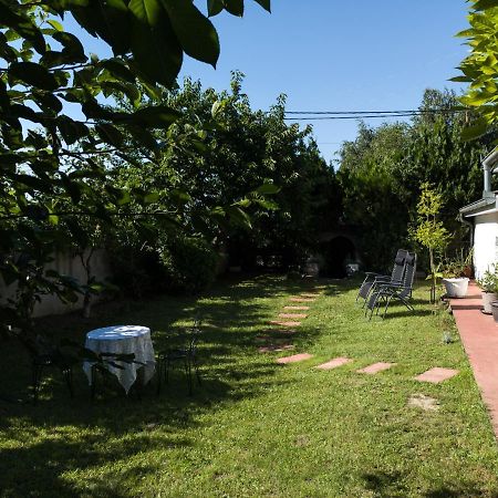 Apartman Dvoristance Golubac Dış mekan fotoğraf